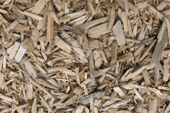 biomass boilers Waterheath